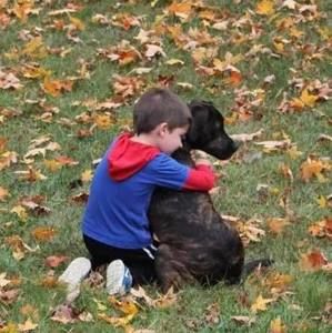 Meet your Posher, Grayson